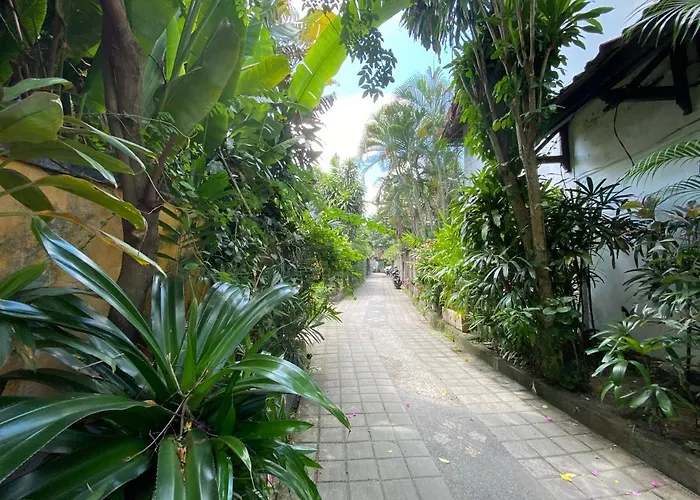 Timaya Location