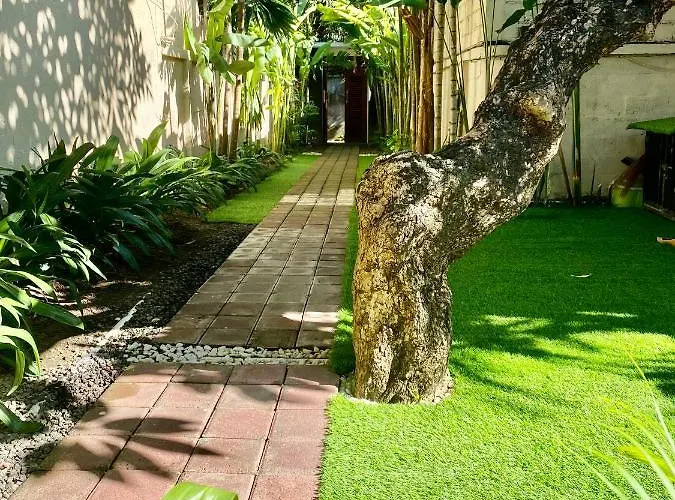 Timaya Location Legian (Bali)